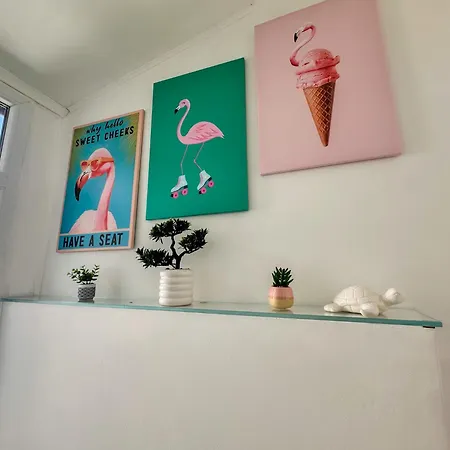 Flamingo Center Βάρνα